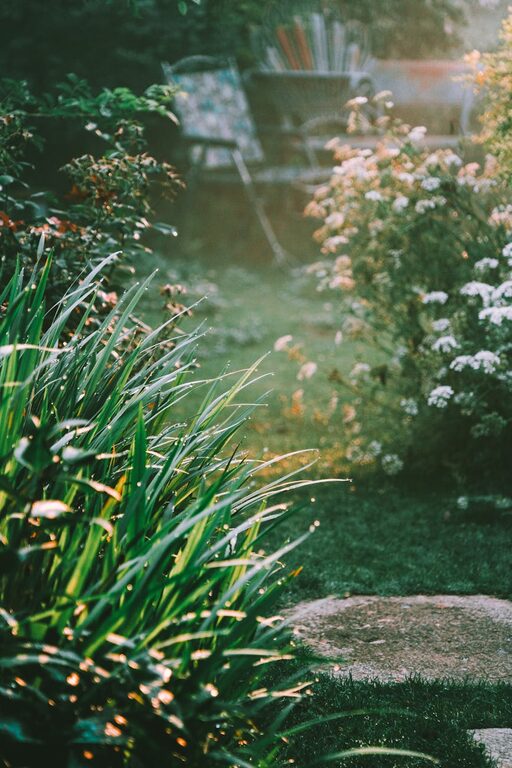 Tips for Creating a Beautiful and Low-Maintenance Garden in Your Backyard