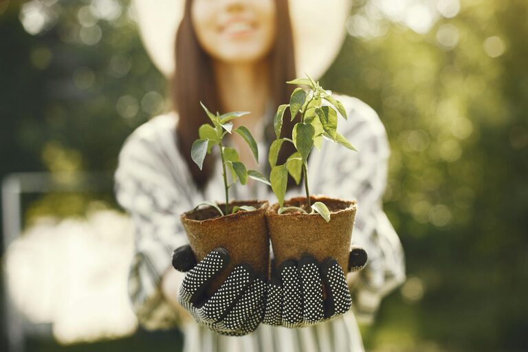 Tips for Creating a Sustainable and Eco-Friendly Garden at Home