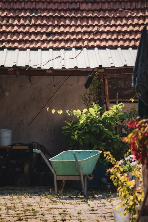 Tips for Creating a Beautiful and Functional Home Garden Space