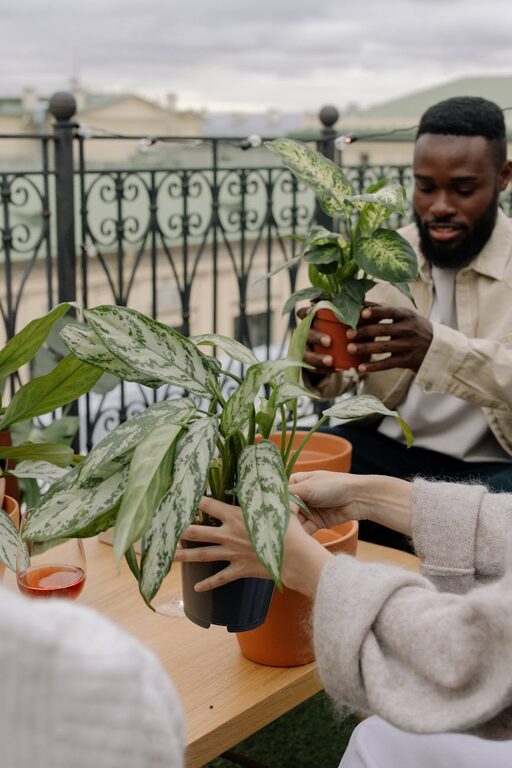 Tips for Creating a Sustainable and Eco-Friendly Home Garden Year-Round